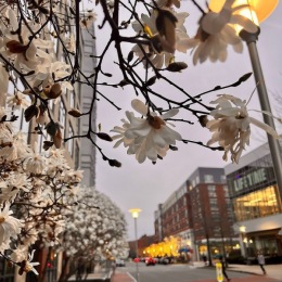 🌱April Recap🐣  1 month closer to beautiful weather and nature around Station Landing. Thank you to all the residents who contributed to our community rewards page. Can't wait to see what May has in store for us!🌺 . . #lovewhereyoulive #medforma #StationLanding Instagram post from @stnlandingapts on April 28, 2023 00:00:00am