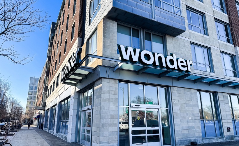 Wonder 